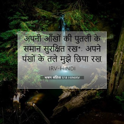 Picture 07 - भजन संहिता 17:8 HINIRV - अपनी आँखों की - Bible Verse Picture