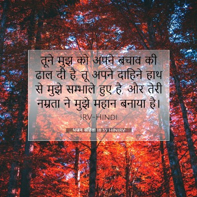 Picture 07 - भजन संहिता 18:35 HINIRV - तूने मुझ को अपने - Bible Verse Picture