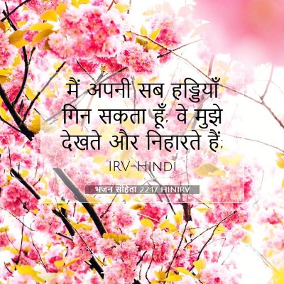 Picture 07 - भजन संहिता 22:17 HINIRV - मैं अपनी सब - Bible Verse Picture