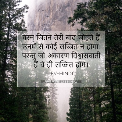 Picture 07 - भजन संहिता 25:3 HINIRV - वरन् जितने तेरी - Bible Verse Picture