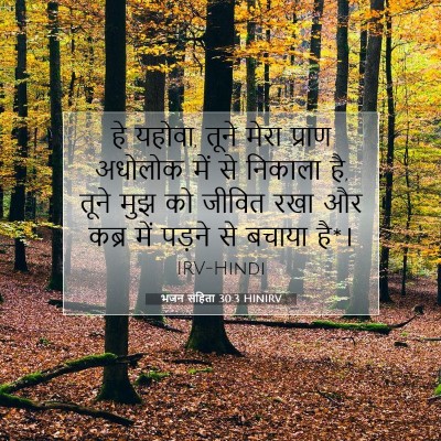 Picture 07 - भजन संहिता 30:3 HINIRV - हे यहोवा, तूने मेरा - Bible Verse Picture
