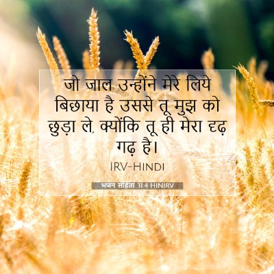 Picture 07 - भजन संहिता 31:4 HINIRV - जो जाल उन्होंने - Bible Verse Picture