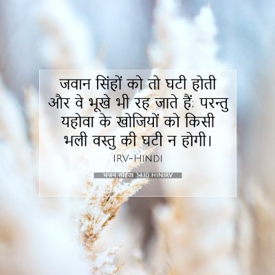 Picture 07 - भजन संहिता 34:10 HINIRV - जवान सिंहों को तो - Bible Verse Picture