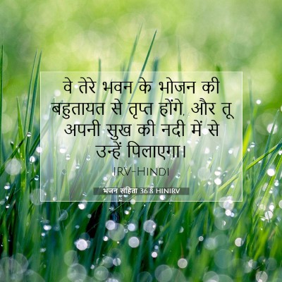 Picture 07 - भजन संहिता 36:8 HINIRV - वे तेरे भवन के भोजन - Bible Verse Picture