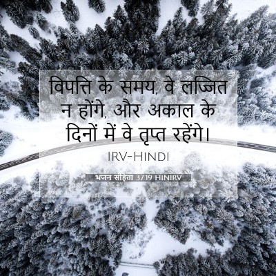 Picture 07 - भजन संहिता 37:19 HINIRV - विपत्ति के समय, वे - Bible Verse Picture