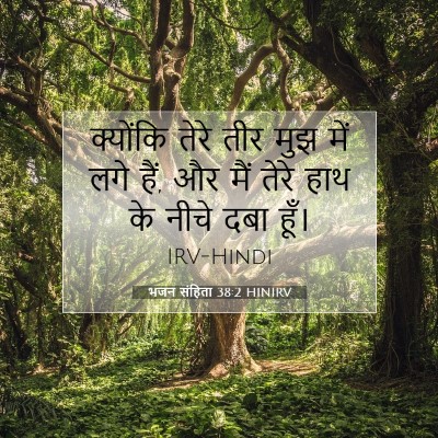 Picture 07 - भजन संहिता 38:2 HINIRV - क्योंकि तेरे तीर - Bible Verse Picture