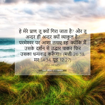 Picture 07 - भजन संहिता 42:5 HINIRV - हे मेरे प्राण, तू - Bible Verse Picture