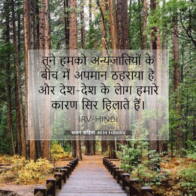 Picture 07 - भजन संहिता 44:14 HINIRV - तूने हमको - Bible Verse Picture