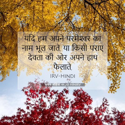 Picture 07 - भजन संहिता 44:20 HINIRV - यदि हम अपने - Bible Verse Picture