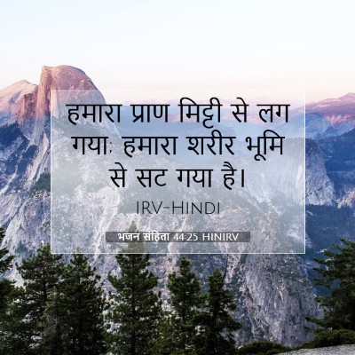 Picture 07 - भजन संहिता 44:25 HINIRV - हमारा प्राण - Bible Verse Picture