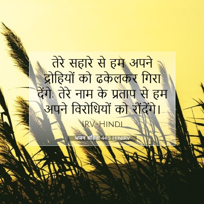 Picture 07 - भजन संहिता 44:5 HINIRV - तेरे सहारे से हम - Bible Verse Picture