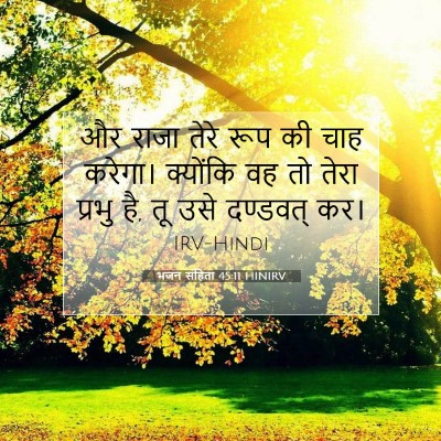 Picture 07 - भजन संहिता 45:11 HINIRV - और राजा तेरे रूप की - Bible Verse Picture