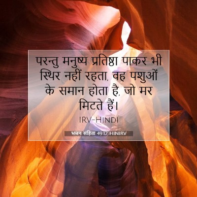Picture 07 - भजन संहिता 49:12 HINIRV - परन्तु मनुष्य - Bible Verse Picture