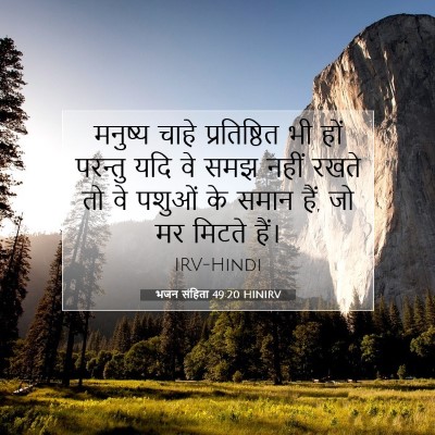 Picture 07 - भजन संहिता 49:20 HINIRV - मनुष्य चाहे - Bible Verse Picture