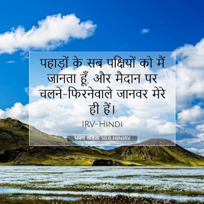 Picture 07 - भजन संहिता 50:11 HINIRV - पहाड़ों के सब - Bible Verse Picture
