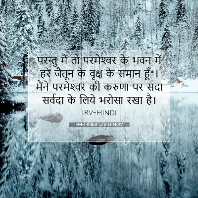 Picture 07 - भजन संहिता 52:8 HINIRV - परन्तु मैं तो - Bible Verse Picture