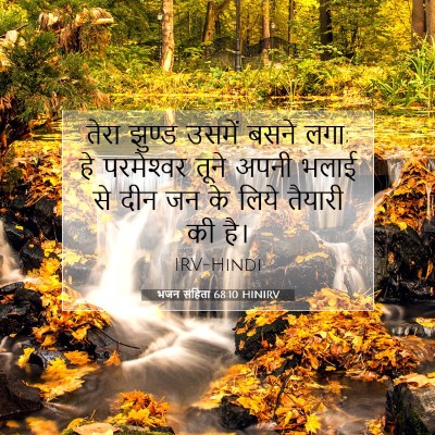 Picture 07 - भजन संहिता 68:10 HINIRV - तेरा झुण्ड उसमें - Bible Verse Picture