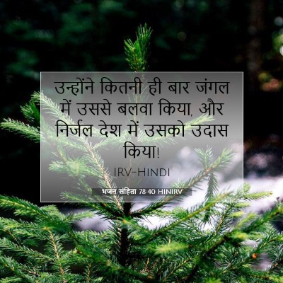 Picture 07 - भजन संहिता 78:40 HINIRV - उन्होंने कितनी ही - Bible Verse Picture