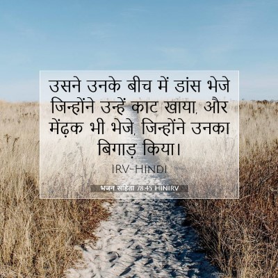 Picture 07 - भजन संहिता 78:45 HINIRV - उसने उनके बीच में - Bible Verse Picture