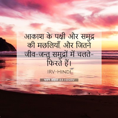 Picture 07 - भजन संहिता 8:8 HINIRV - आकाश के पक्षी और - Bible Verse Picture
