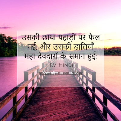 Picture 07 - भजन संहिता 80:10 HINIRV - उसकी छाया पहाड़ों - Bible Verse Picture