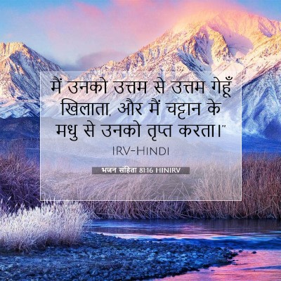Picture 07 - भजन संहिता 81:16 HINIRV - मैं उनको उत्तम से - Bible Verse Picture