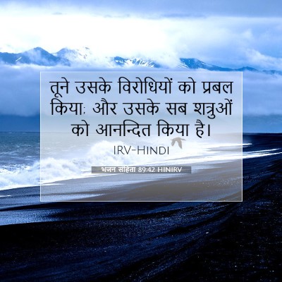 Picture 07 - भजन संहिता 89:42 HINIRV - तूने उसके - Bible Verse Picture
