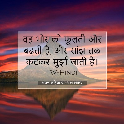 Picture 07 - भजन संहिता 90:6 HINIRV - वह भोर को फूलती और - Bible Verse Picture