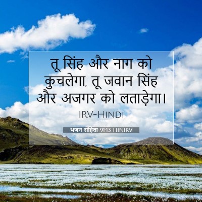 Picture 07 - भजन संहिता 91:13 HINIRV - तू सिंह और नाग को - Bible Verse Picture
