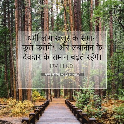 Picture 07 - भजन संहिता 92:12 HINIRV - धर्मी लोग खजूर के - Bible Verse Picture