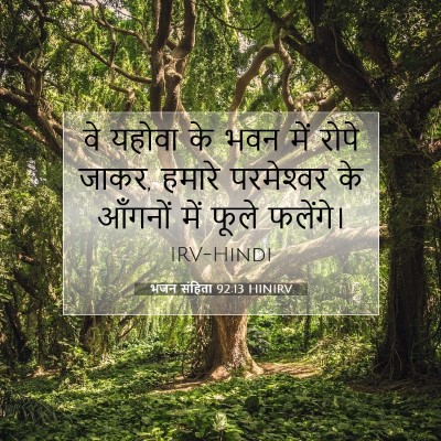 Picture 07 - भजन संहिता 92:13 HINIRV - वे यहोवा के भवन में - Bible Verse Picture