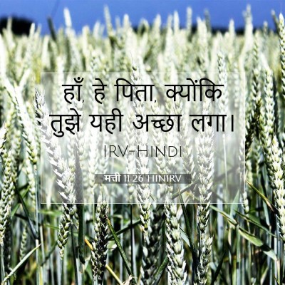 Picture 07 - मत्ती 11:26 HINIRV - हाँ, हे पिता, - Bible Verse Picture