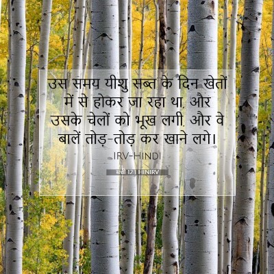 Picture 07 - मत्ती 12:1 HINIRV - उस समय यीशु सब्त के - Bible Verse Picture