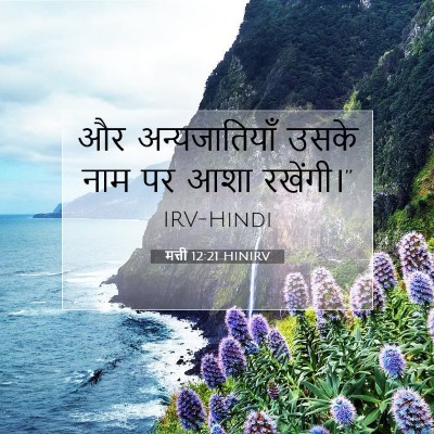 Picture 07 - मत्ती 12:21 HINIRV - और अन्यजातियाँ - Bible Verse Picture