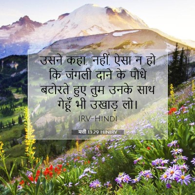 Picture 07 - मत्ती 13:29 HINIRV - उसने कहा, ‘नहीं, - Bible Verse Picture