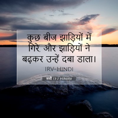 Picture 07 - मत्ती 13:7 HINIRV - कुछ बीज झाड़ियों - Bible Verse Picture