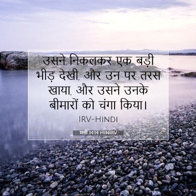 Picture 07 - मत्ती 14:14 HINIRV - उसने निकलकर एक - Bible Verse Picture