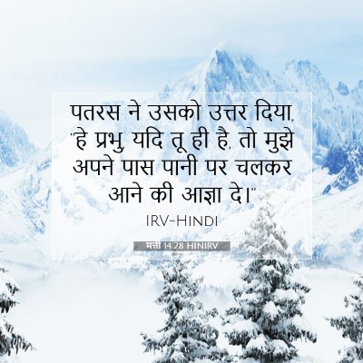 Picture 07 - मत्ती 14:28 HINIRV - पतरस ने उसको उत्तर - Bible Verse Picture