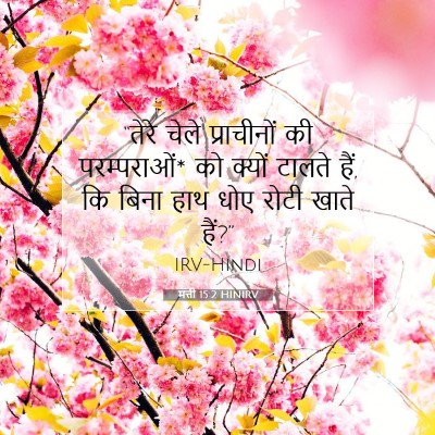 Picture 07 - मत्ती 15:2 HINIRV - “तेरे चेले - Bible Verse Picture