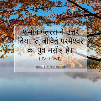 Picture 07 - मत्ती 16:16 HINIRV - शमौन पतरस ने उत्तर - Bible Verse Picture