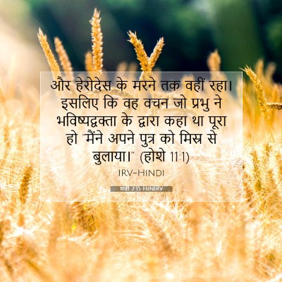 Picture 07 - मत्ती 2:15 HINIRV - और हेरोदेस के मरने - Bible Verse Picture