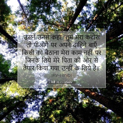 Picture 07 - मत्ती 20:23 HINIRV - उसने उनसे कहा, “तुम - Bible Verse Picture