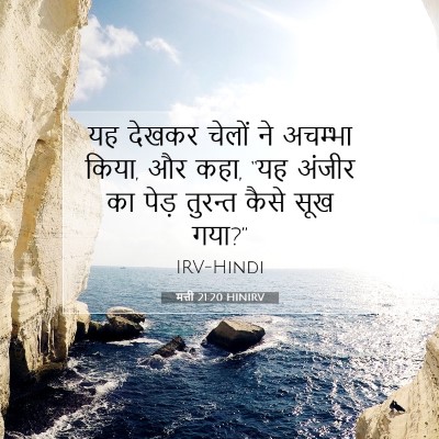 Picture 07 - मत्ती 21:20 HINIRV - यह देखकर चेलों ने - Bible Verse Picture