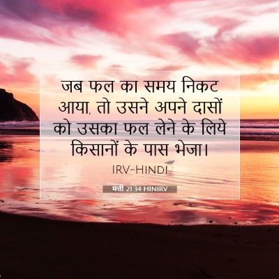 Picture 07 - मत्ती 21:34 HINIRV - जब फल का समय निकट - Bible Verse Picture