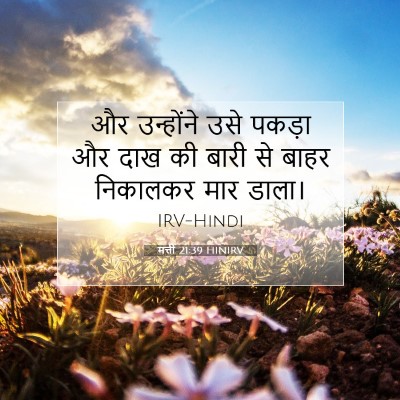Picture 07 - मत्ती 21:39 HINIRV - और उन्होंने उसे - Bible Verse Picture