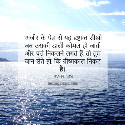 Picture 07 - मत्ती 24:32 HINIRV - “अंजीर के पेड़ से - Bible Verse Picture