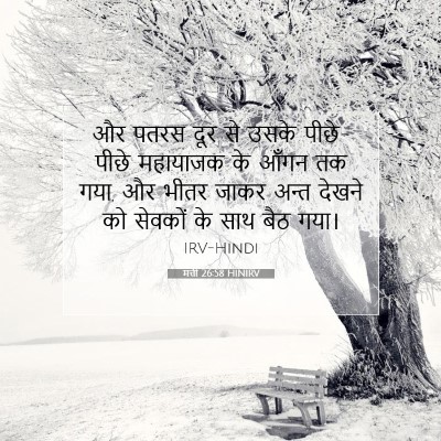 Picture 07 - मत्ती 26:58 HINIRV - और पतरस दूर से उसके - Bible Verse Picture