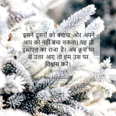 Picture 07 - मत्ती 27:42 HINIRV - “इसने दूसरों को - Bible Verse Picture