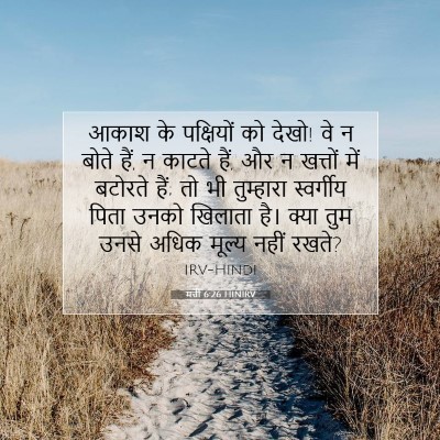 Picture 07 - मत्ती 6:26 HINIRV - आकाश के पक्षियों - Bible Verse Picture