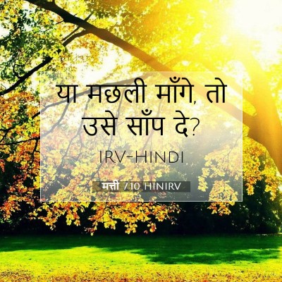 Picture 07 - मत्ती 7:10 HINIRV - या मछली माँगे, तो - Bible Verse Picture